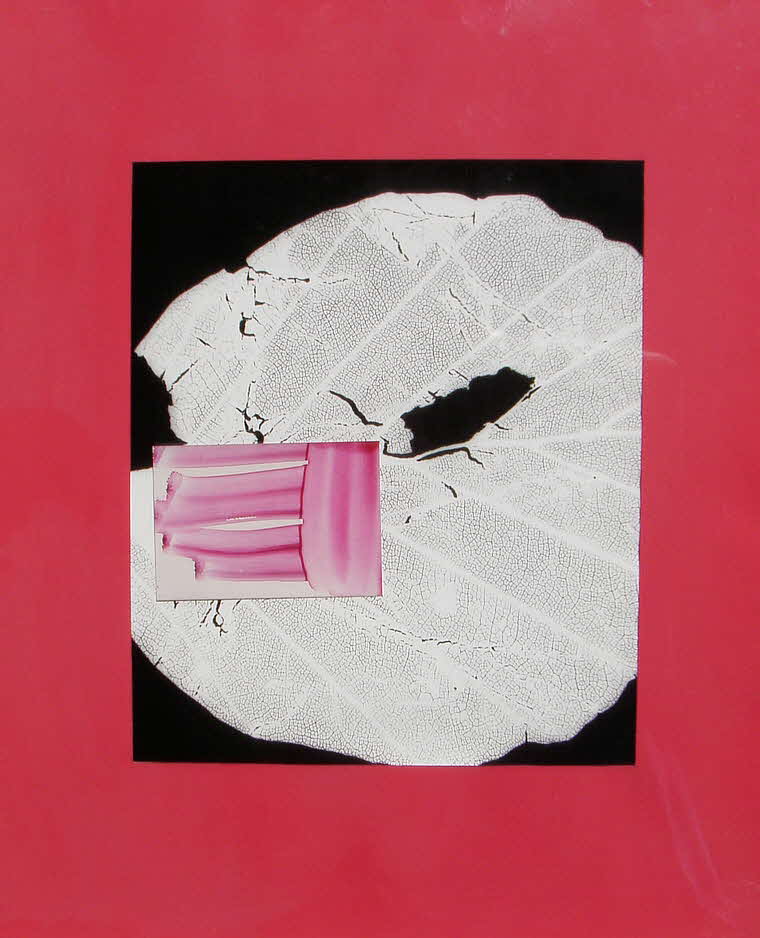 Herbert Kindermann - Diagrafik - 1978 - 60 x 50 cm - 39 € mtl./K 450 €